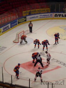 djurgarden_vs_malmo_nov06